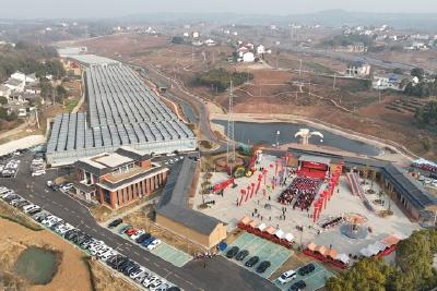 当阳绿沃川智慧农业产业园正式开园