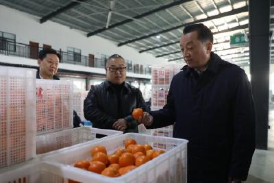 李兴兵到半月镇调研