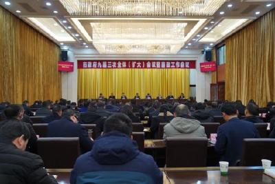 市政府召开九届三次全体(扩大)会议暨廉政工作会议