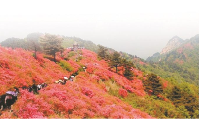 流量变“留”量 出圈又出彩