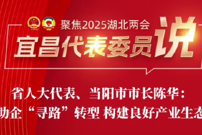 2025湖北省两会｜陈华：助企“寻路”转型 构建良好产业生态
