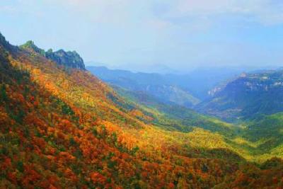 神农架林区党委书记郑利：擦亮神农秘境文旅名片 建设世界知名文化旅游目的地