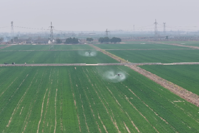 数字赋能 春耕春管降本增效