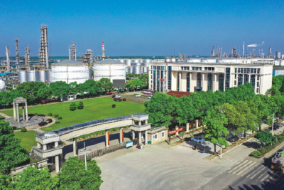 追“新”逐“质”潜潮涌动！激活科技创新“强磁场”→