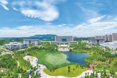 “荆天办”赋能，荆门民营经济扶摇直上