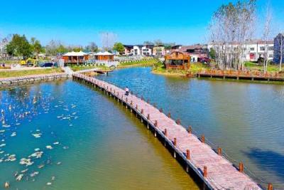 仙桃：为支点建设贡献更大作为