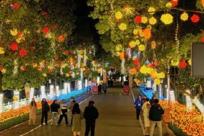 “花样”上新 当阳这个春节年味十足