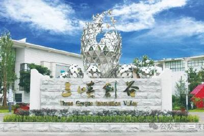 宜昌推出“创业政策矩阵”让每个梦想找到生长的土壤