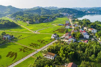 绘就乡村好“丰”景——宜昌奋力推进乡村全域全员全面振兴