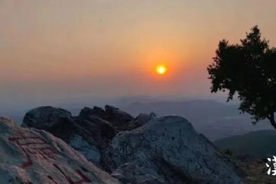 从“孤独一棵树”看绿色满古城 ——解读生态守护的襄阳做法