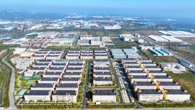 荆门新“年俗” 正月招商忙