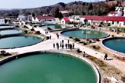 聚力建支点 | 水润京楚迎春来 品牌强省开新篇