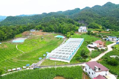 解码“春耕密码”：数字赋能+生态循环构建绿色农业新气象