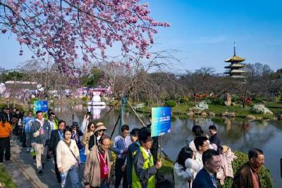 从“樱花之约”到“发展之约” 325家世界500强企业携手湖北共享机遇共同成长