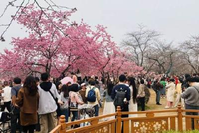 牢记嘱托 建成支点·市州委书记说④丨锚定世界级，迈向万亿级