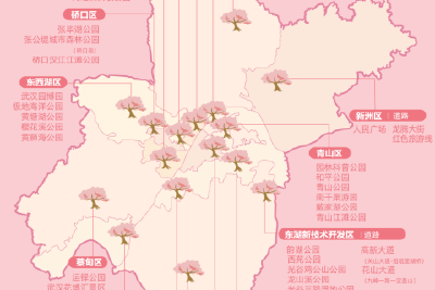 跟着总书记看中国｜赴一场“春天的约定”