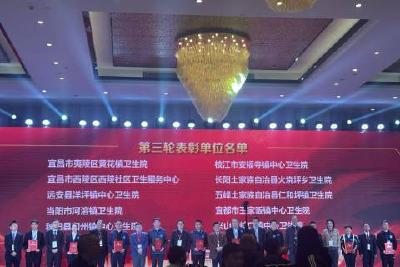 当阳市河溶镇卫生院喜获湖北省心律失常防治单元建设先进单位