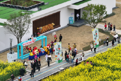十年春约：“赏花经济”绘就乡村振兴新图景