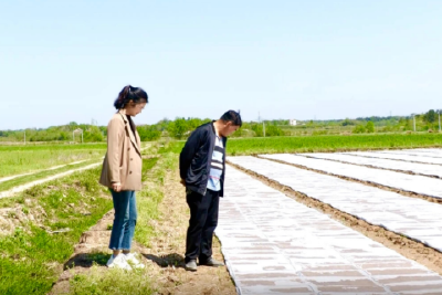 一对种粮父女兵的“禾归”路