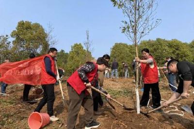 植一抹青绿，向春天问好