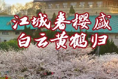 樱花只是开场！1份邀约＝6种世界级风景