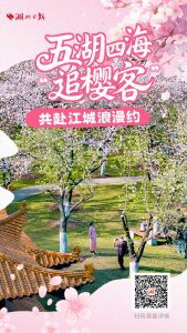 五湖四海“追樱客” 共赴江城浪漫约