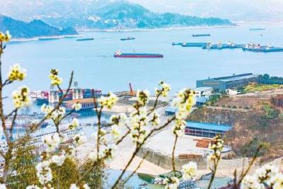 400余份建议守护一江清水东流