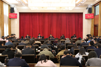 全市农业农村、交通、文旅专题办公会召开