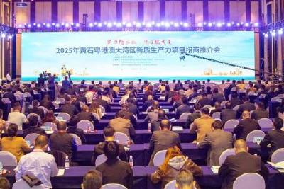 4年1400亿，黄石楚商归巢潮激活"归雁经济"