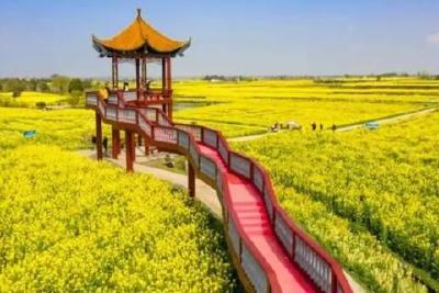 荆门，小小“一粒籽”趟出金色路