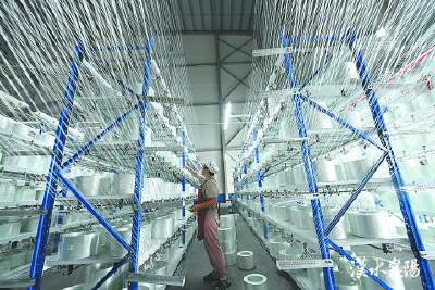 襄阳，逐梦万亿攀高峰