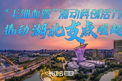 “毛细血管”涌动科创活力，撬动湖北支点崛起