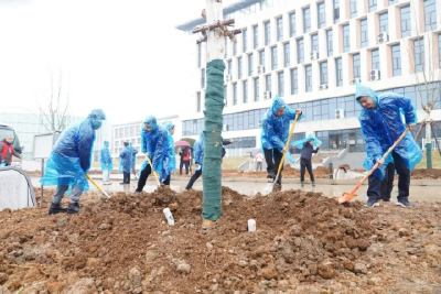 携手同栽学子林 共建绿色宜居当阳