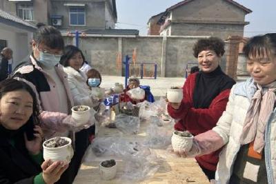 巾帼风采，多肉相伴