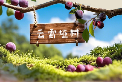 “支点”有我！夷陵四位驻村干部的2025新愿景