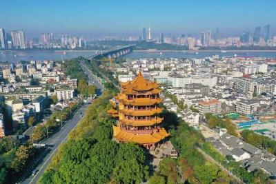 高地武汉：乘势而上做强“开放引擎”