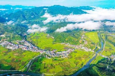 如何做强支点功能，提交湖北高分答卷？3位代表委员说→