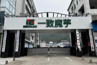 深耕细分领域 山区也能出强企—鄂西小县何以坐拥3家上市企业？