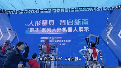 “武汉造”机器人，正加速突围！