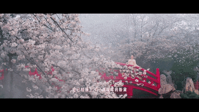世界三大赏樱胜地之一！外交部又转了！