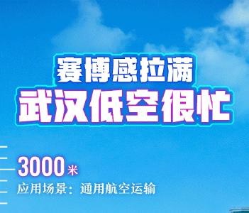 牢记嘱托 建成支点丨载人的、送货的、滑翔的、救援的，武汉低空好忙！