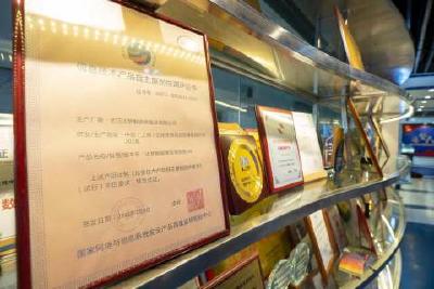 民营企业家“站C位”！湖北这场大会传递重要讯号