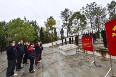 庙前镇庙前村举行清明文明祭祀活动