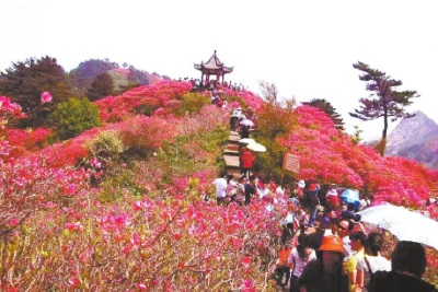 从“网红景点”到“产业支点”！看黄冈“上春山”的流量转化密码