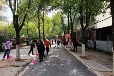 环境美化共商议，家园治理齐参与