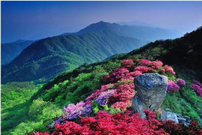 汪文斌发文！武汉这一幕，震撼世界！