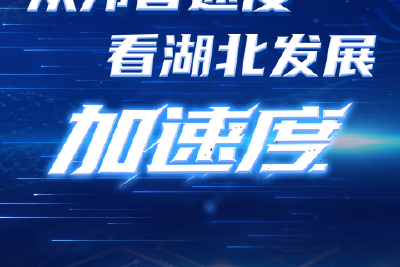 从邦普速度 看湖北发展加速度