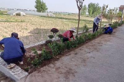 干群同心齐上阵 凝心聚力焕新颜