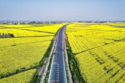 以“四季养护”绘就公路新画卷