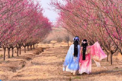 孝感：让文化生根，让美景生金